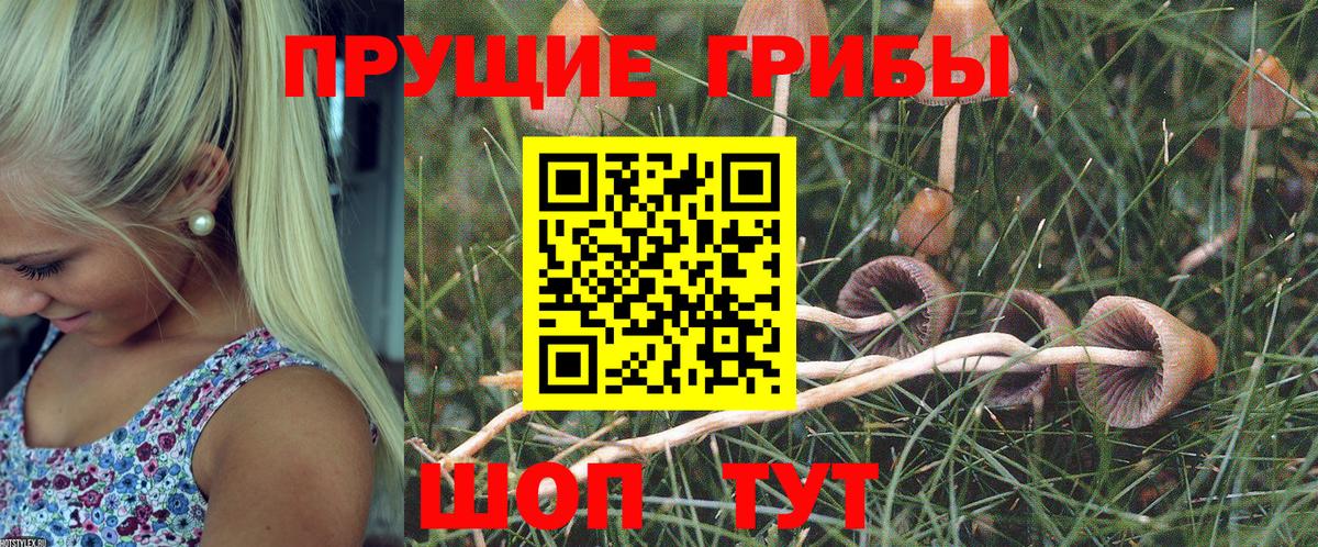 Ливны  Псилоцибиновые грибы Magic Shrooms  Вход с VPN 
